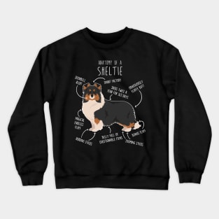 Tri Color Sheltie Shetland Sheepdog Anatomy Crewneck Sweatshirt